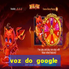 voz do google tradutor homem