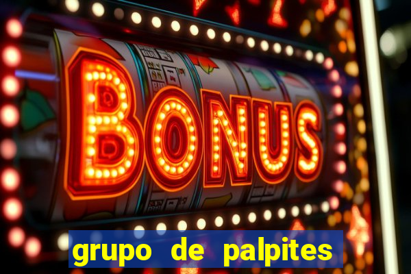 grupo de palpites de futebol whatsapp