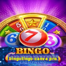 bingotingo canva pro