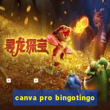 canva pro bingotingo