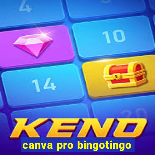 canva pro bingotingo