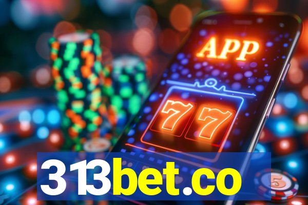 313bet.co