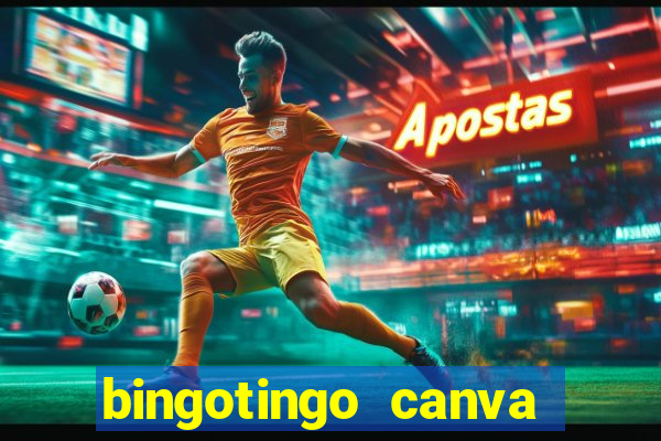 bingotingo canva pro gratis