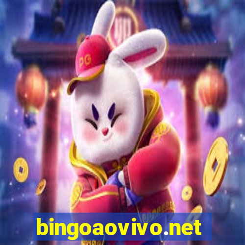 bingoaovivo.net