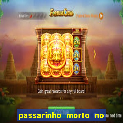 passarinho morto no quintal significado espiritual