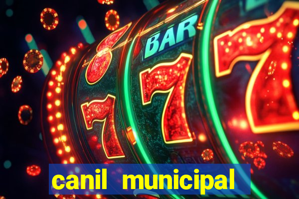 canil municipal porto alegre