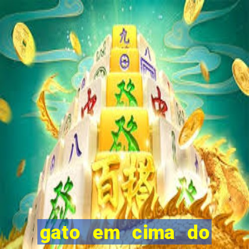 gato em cima do telhado significado espiritual