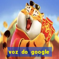 voz do google tradutor homem