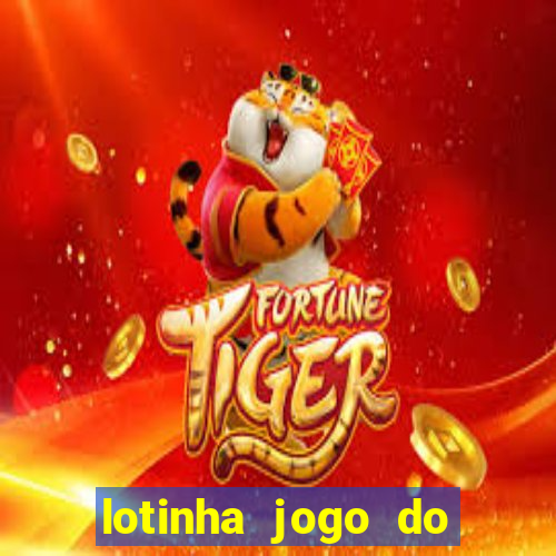 lotinha jogo do bicho como funciona