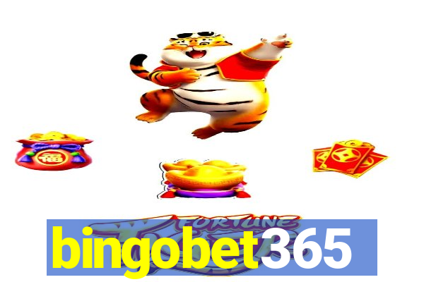 bingobet365