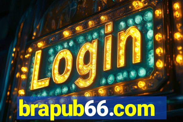 brapub66.com