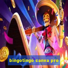 bingotingo canva pro