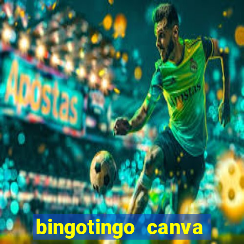 bingotingo canva pro gratis